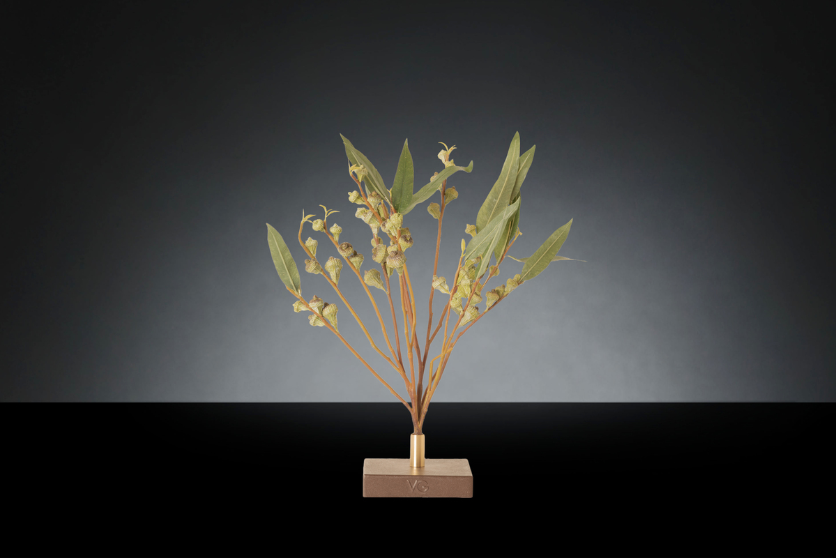 1700220426-1142923.37 EUCALYPTOS SINGLE_3LOW